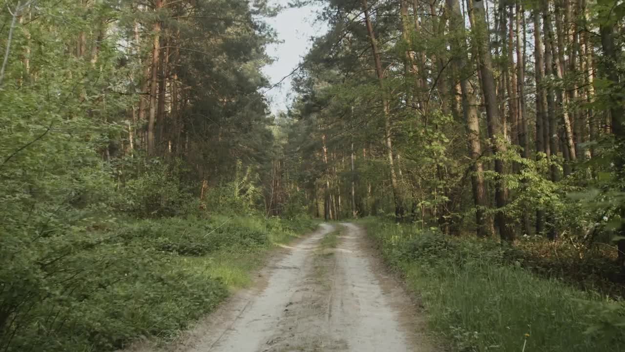 Video Stock Cinematic Road In A Forest Live Wallpaper For PC