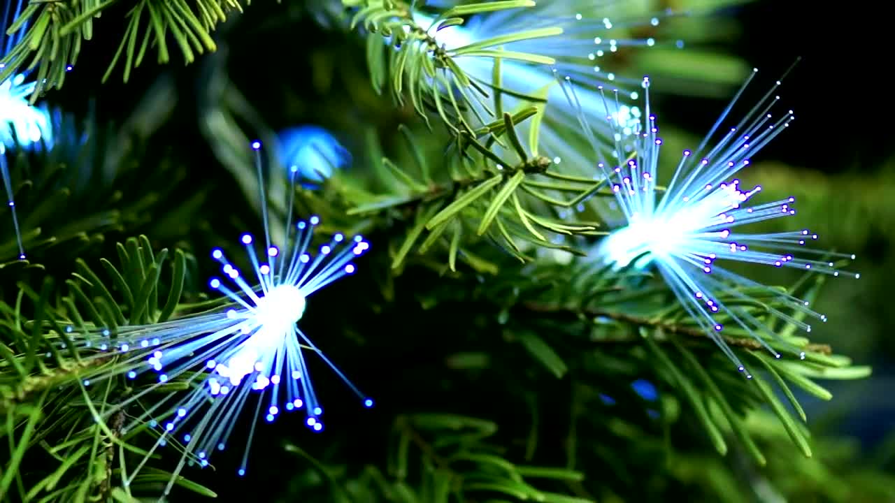 Video Stock Christmas Tree Decorated With Optic Fiber Live Wallpaper For PC