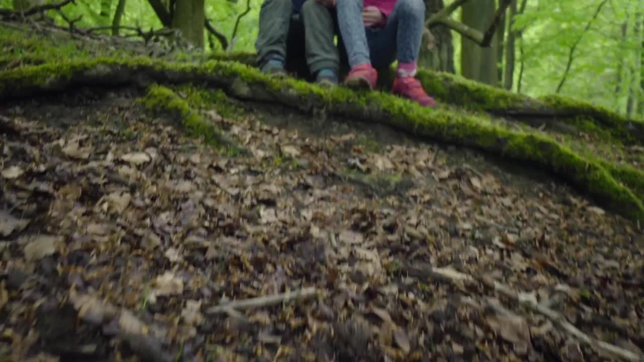 Video Stock Children Resting In Woodland Live Wallpaper For PC