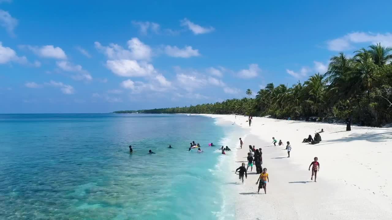 Video Stock Children Playing On The Beach Live Wallpaper For PC