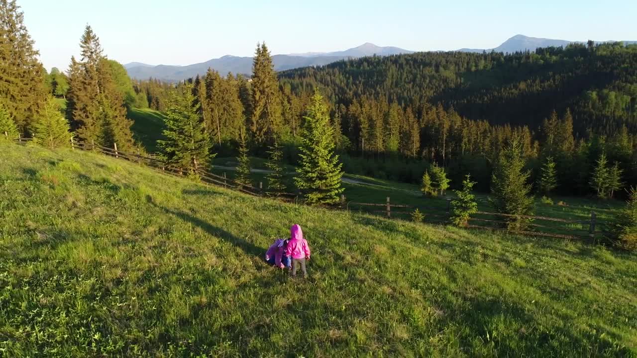 Video Stock Children Playing In The Meadows Of A Farm Live Wallpaper For PC