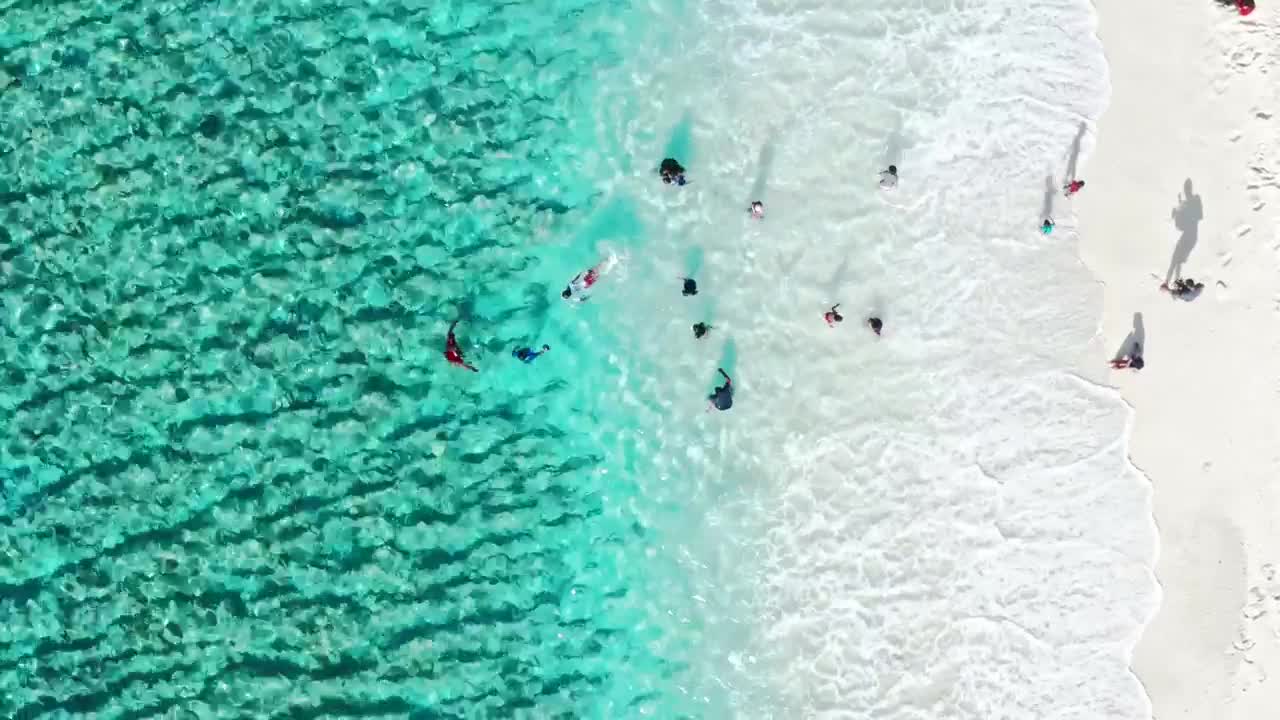 Video Stock Children On Beach Vacation Live Wallpaper For PC