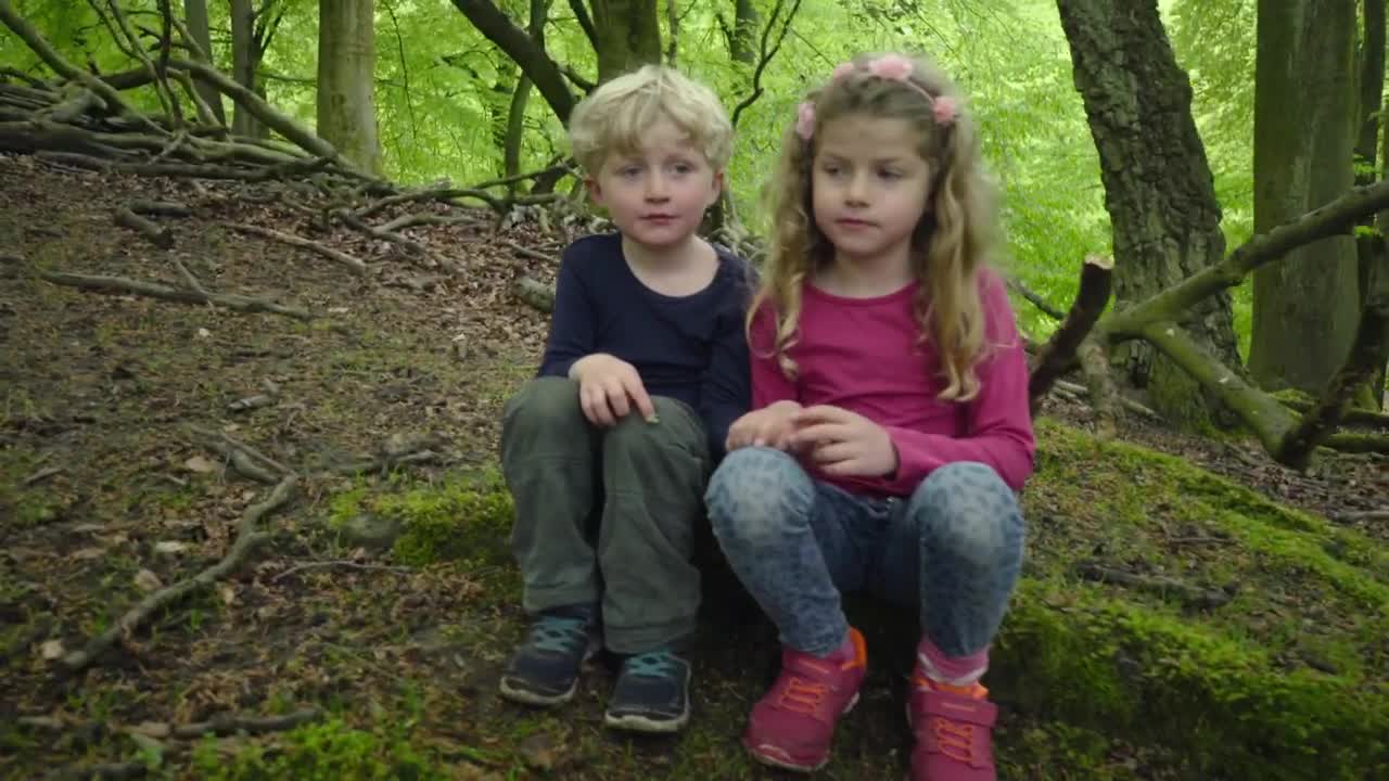 Video Stock Children Laughing Outside Live Wallpaper For PC