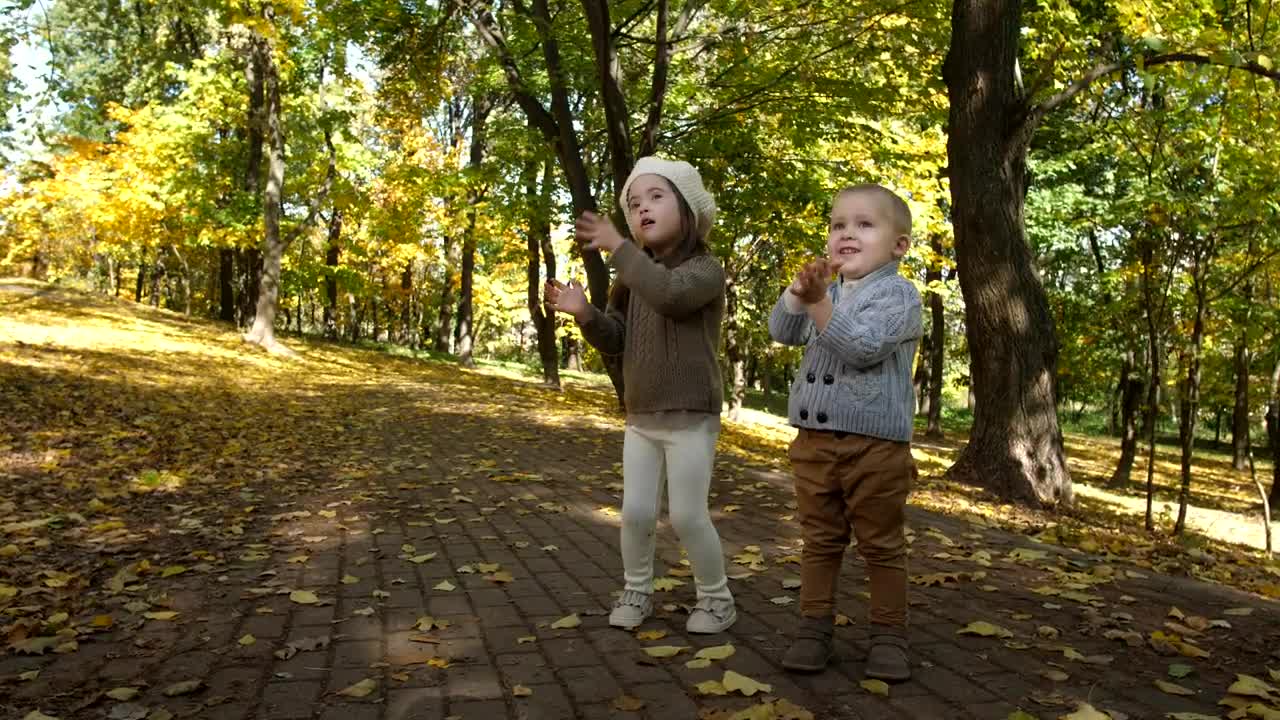 Video Stock Children Clapping Outside Live Wallpaper For PC