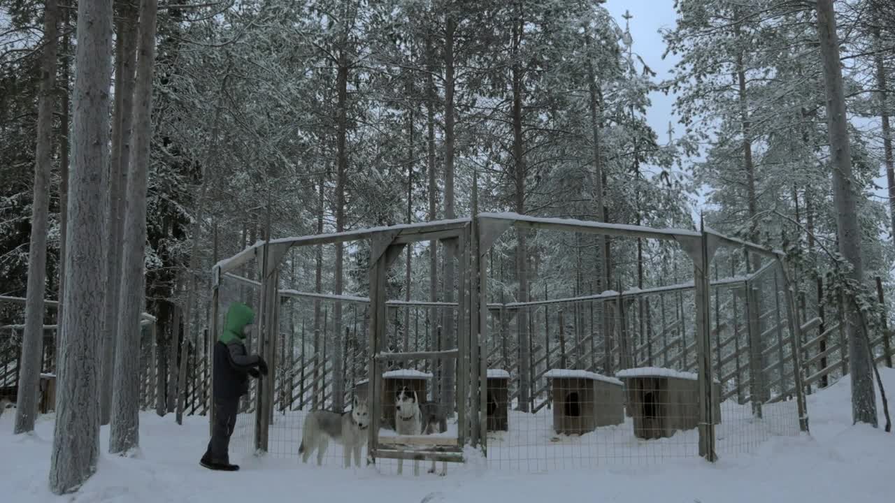 Video Stock Child Talking To His Husky Live Wallpaper For PC