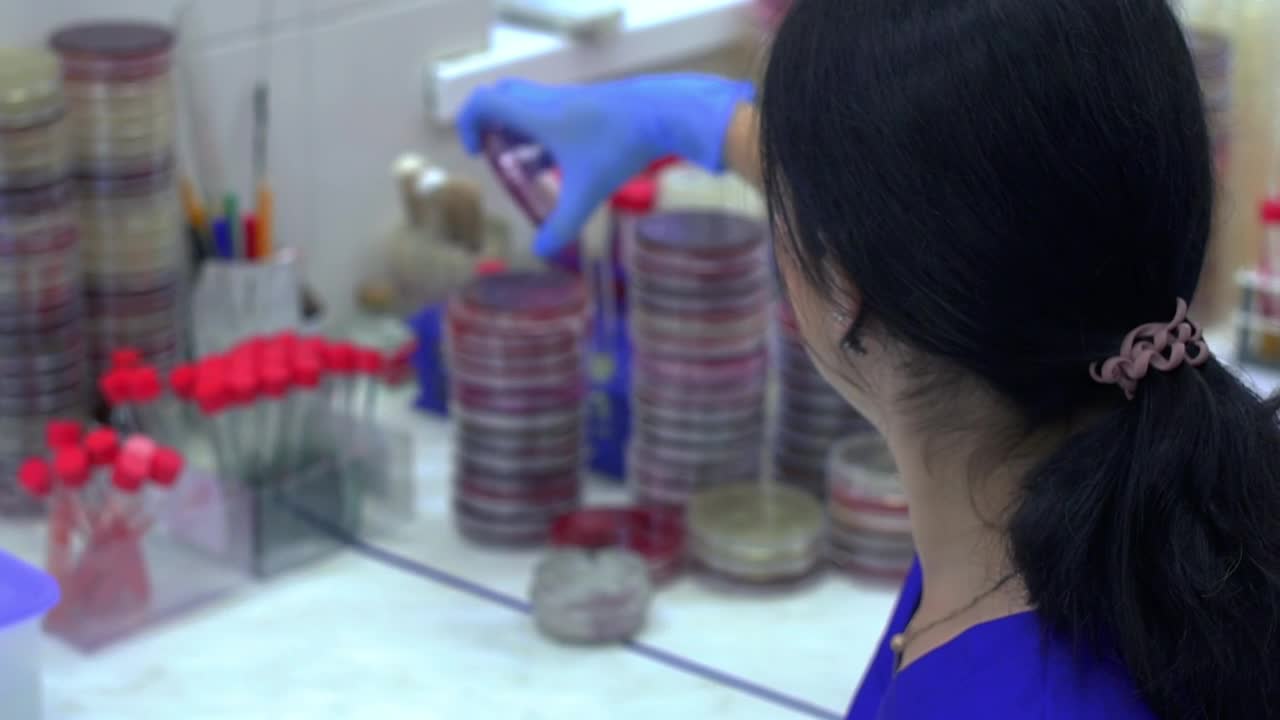 Video Stock Chemist Working With Viruses Samples In The Lab Live Wallpaper For PC