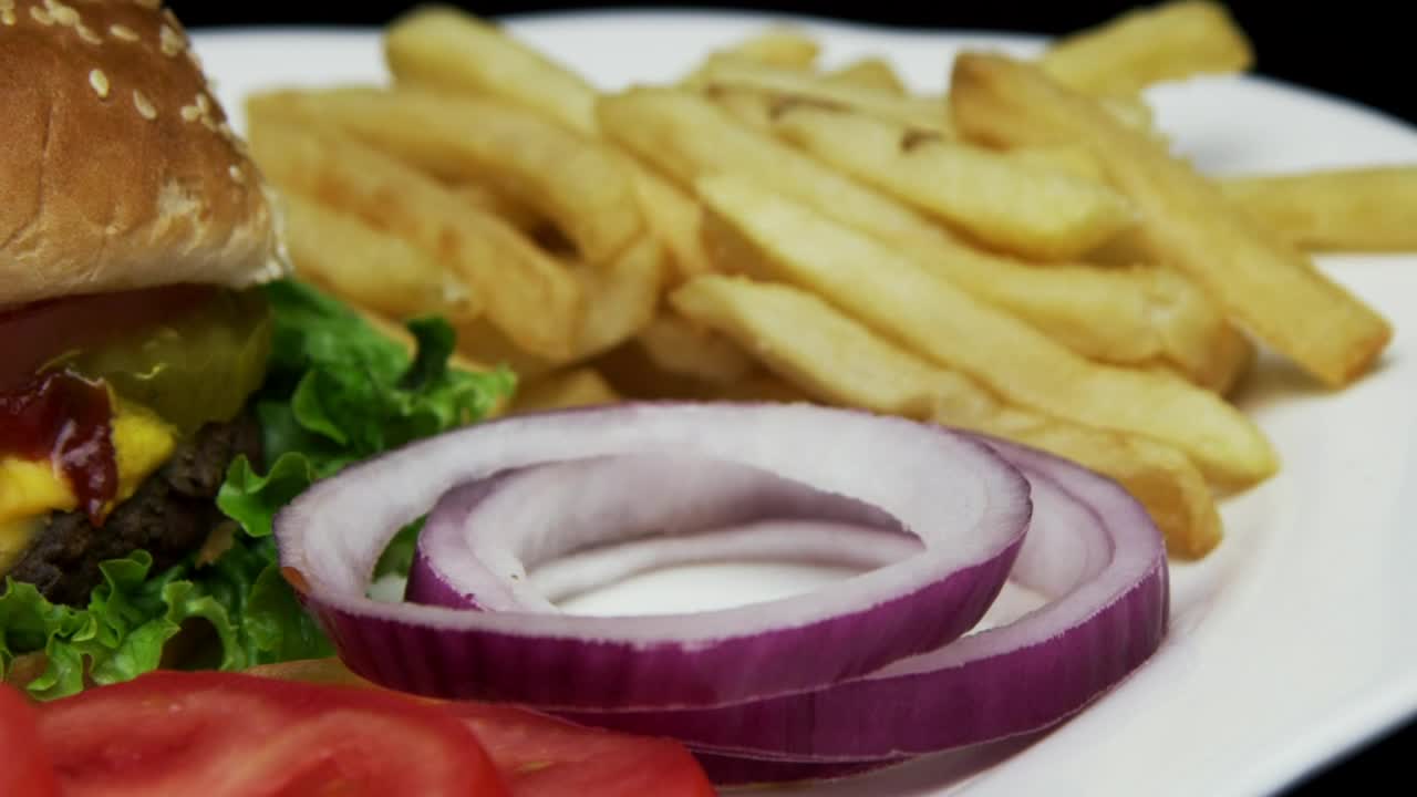 Video Stock Cheeseburger With Onion Salad And Fries Live Wallpaper For PC