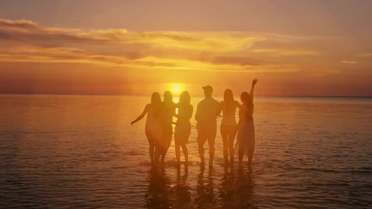 Video Stock Cheerful Friends Seeing The Sunset On The Beach Live Wallpaper For PC