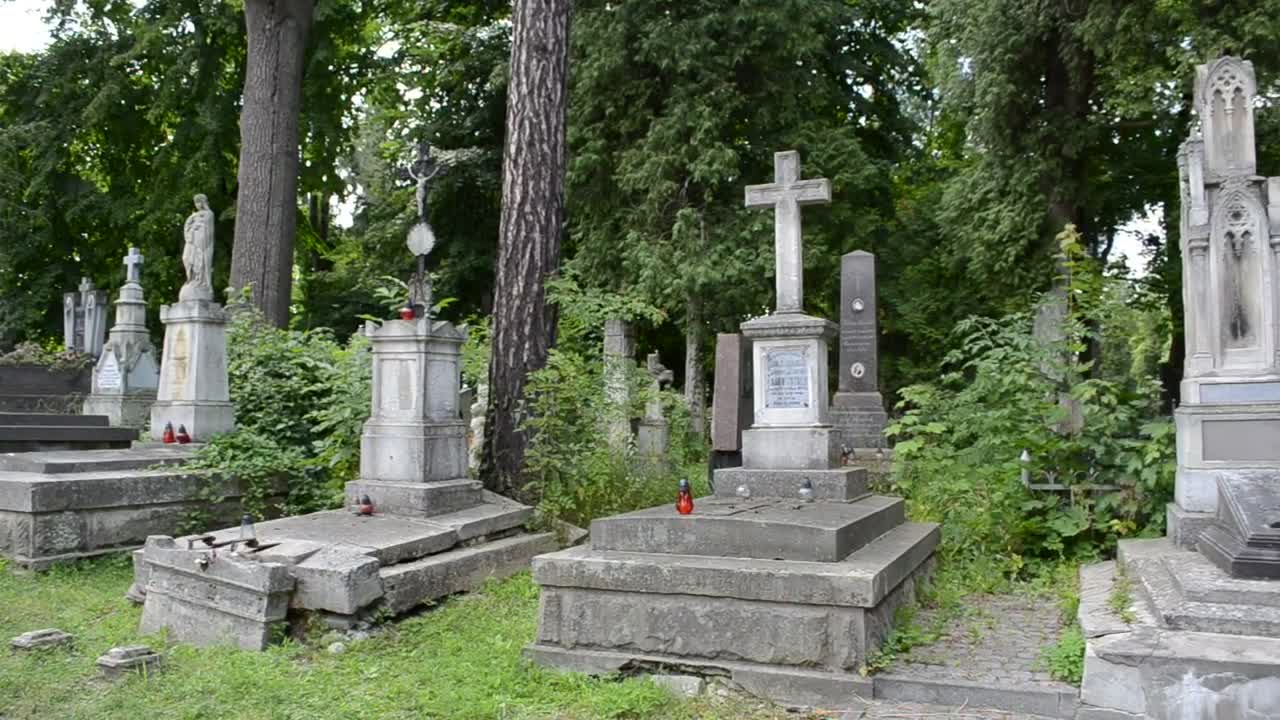 Video Stock Cemetery Surrounded By Trees Live Wallpaper For PC