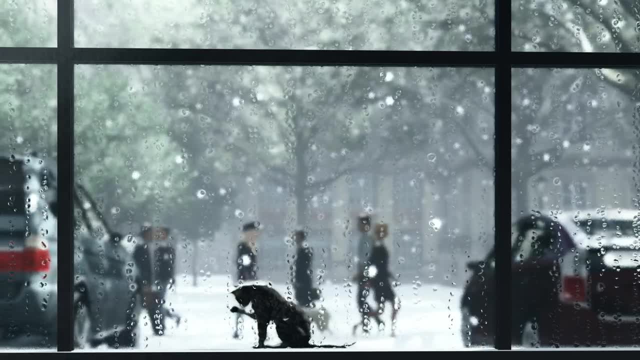 Video Stock Cat In A Window During Winter Live Wallpaper For PC