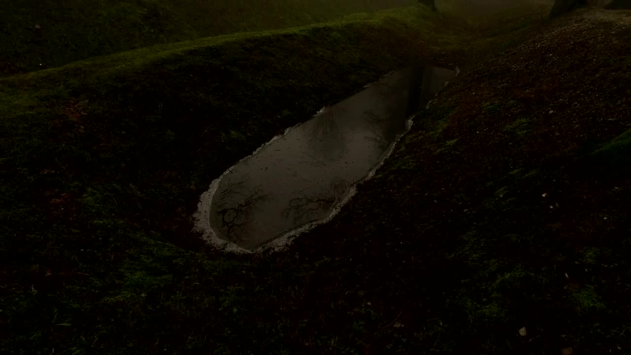 Video Stock Castle Wall In A Misty Forest Live Wallpaper For PC