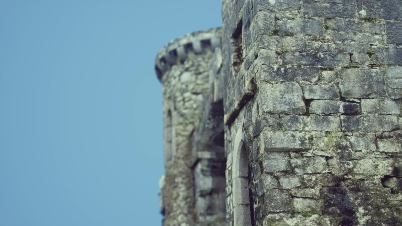 Video Stock Castle In Ireland Live Wallpaper For PC