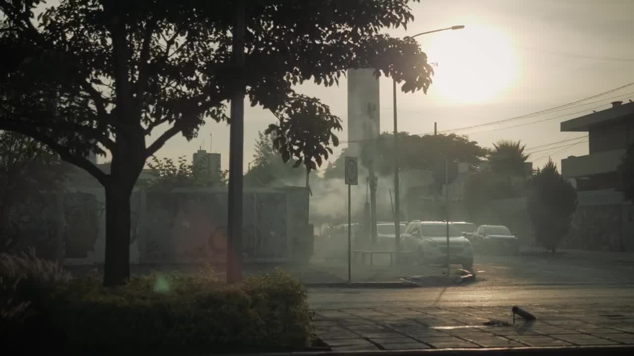 Video Stock Cars Driving Under A Tree Live Wallpaper For PC