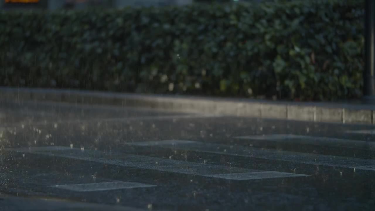 Video Stock Cars Driving Through Rainfall Live Wallpaper For PC