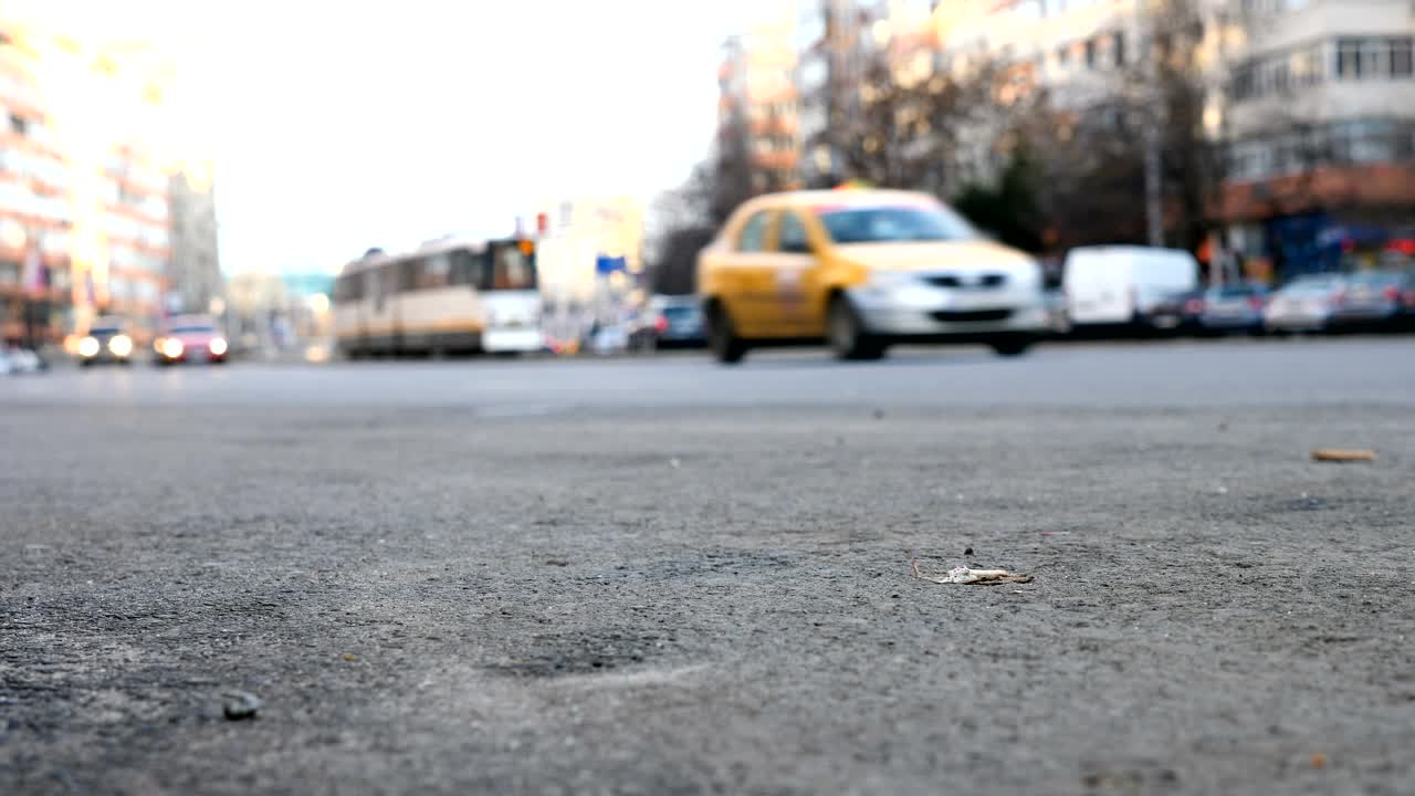 Video Stock Cars Driving Through A City Early In The Morning Live Wallpaper For PC