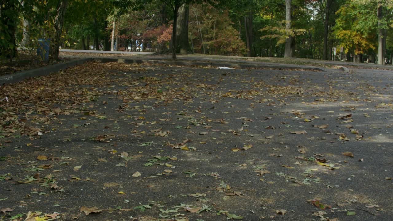 Video Stock Car Parking Under A Tree Live Wallpaper For PC