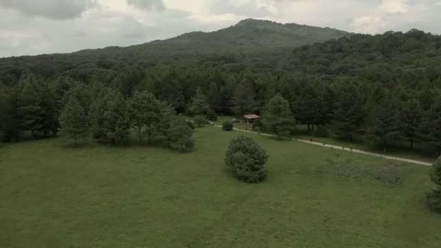 Video Stock Car Crossing A Meadow In The Middle Of A Large Smal Live Wallpaper For PC