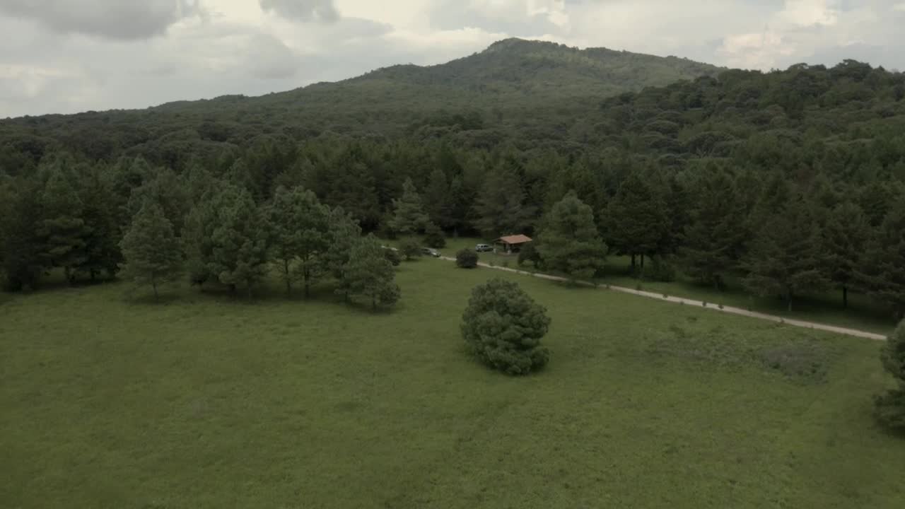 Video Stock Car Crossing A Meadow In The Middle Of A Large Live Wallpaper For PC