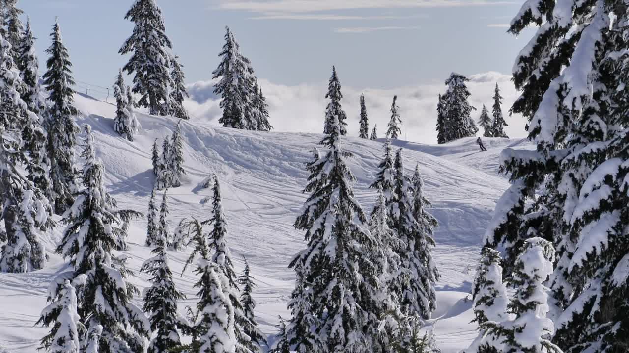 Video Stock Canadian Mountain Peak Environment Live Wallpaper For PC