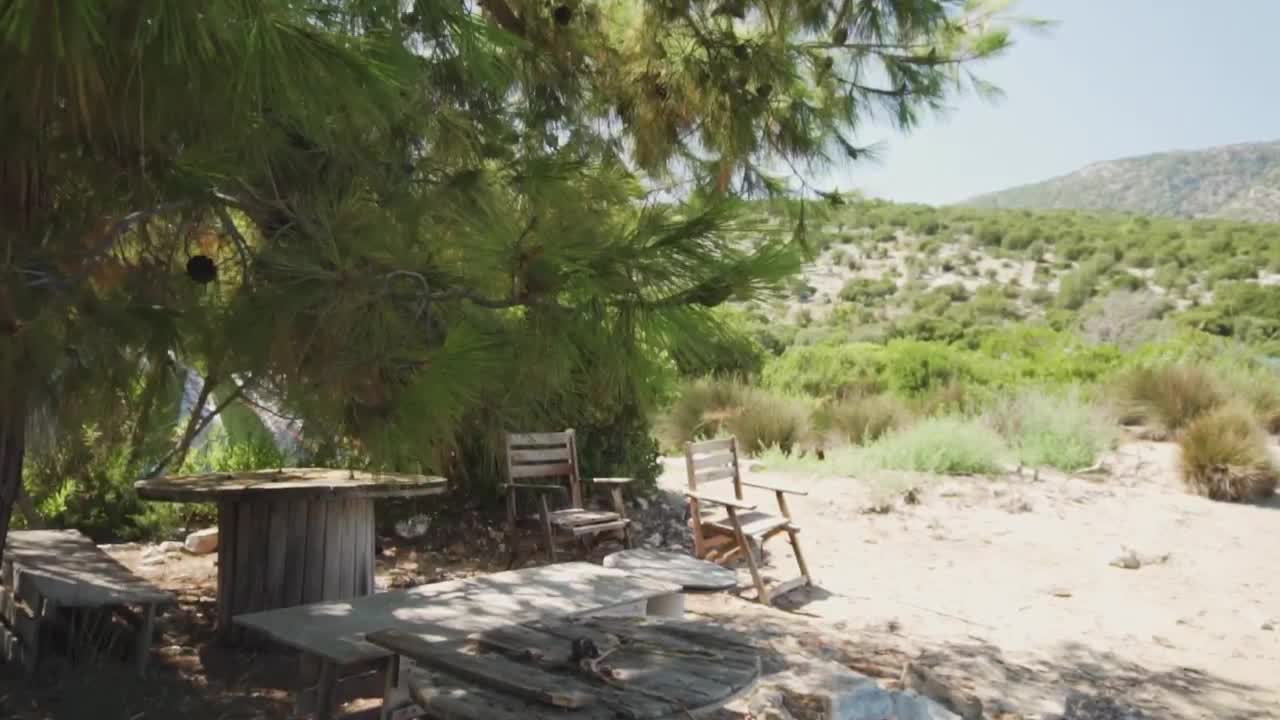 Video Stock Camping In A Desert Forest Live Wallpaper For PC