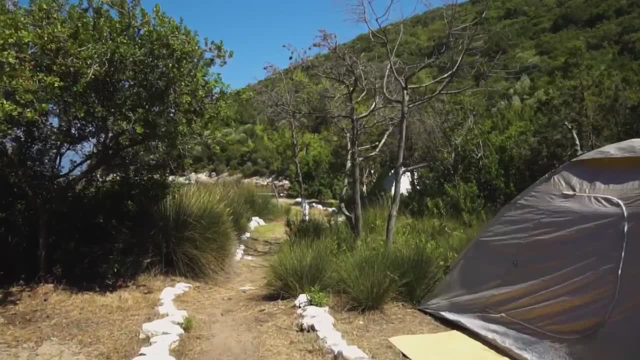 Video Stock Campground On The Beach Live Wallpaper For PC