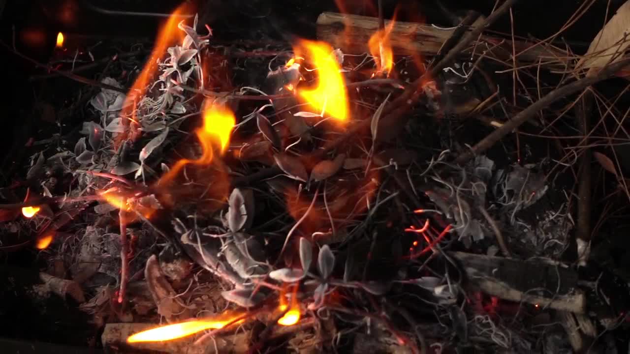 Video Stock Campfire Made With Branches Live Wallpaper For PC