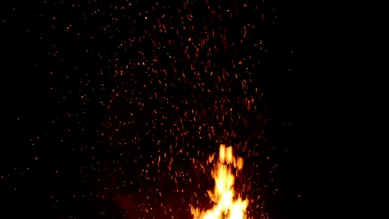 Video Stock Campfire In The Dark Live Wallpaper For PC