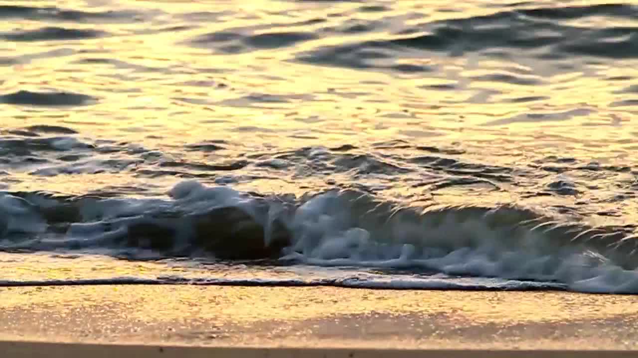 Video Stock Calm Waves Breaking On An Empty Beach Live Wallpaper For PC