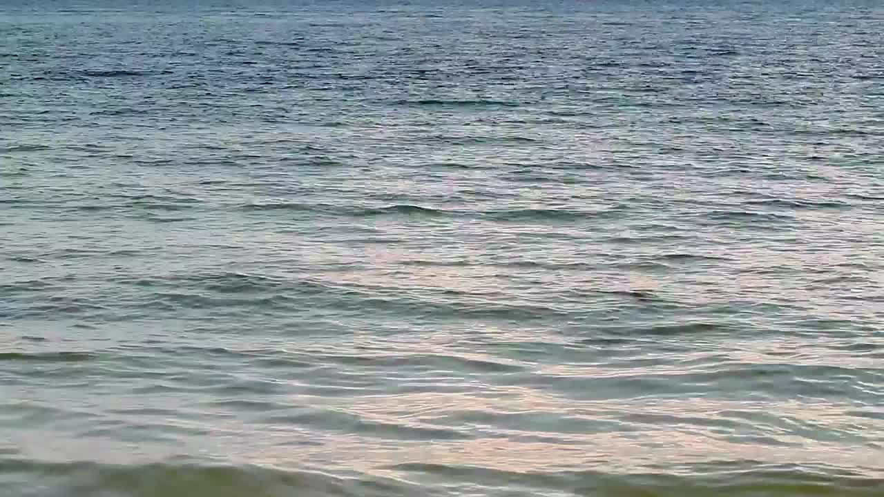 Video Stock Calm Ocean Near The Shore Live Wallpaper For PC