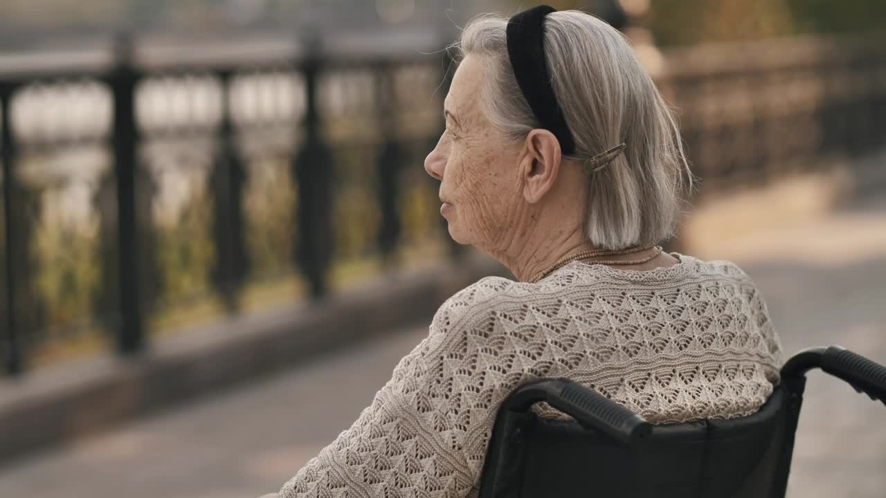 Video Stock Calm Elderly Woman In Wheelchair In A Park Live Wallpaper For PC