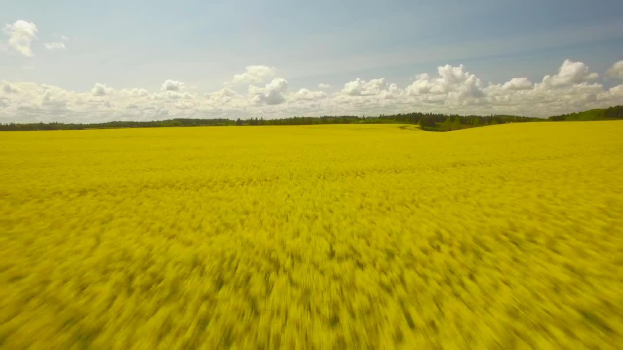 Video Stock Clouds On The Horizon Live Wallpaper For PC