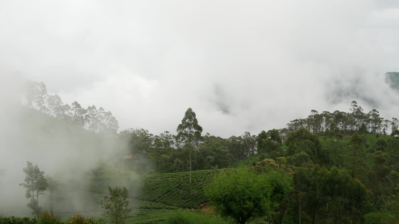 Video Stock Clouds Moving Over A Tea Plantations Live Wallpaper For PC