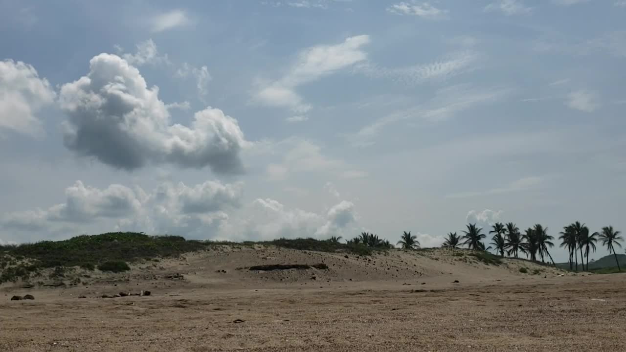 Video Stock Clouds In The Sky Over Beach Palms Live Wallpaper For PC