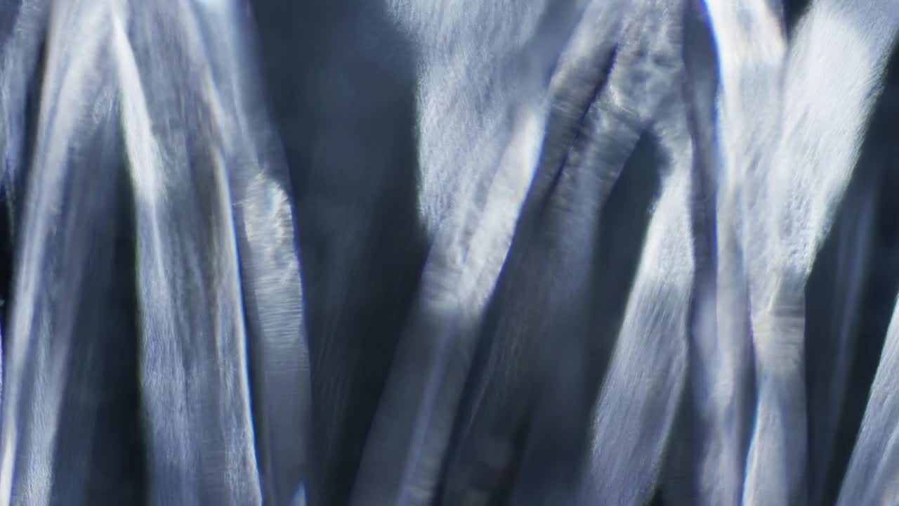 Stock Video Defused Light Shapes In Motion Live Wallpaper For PC