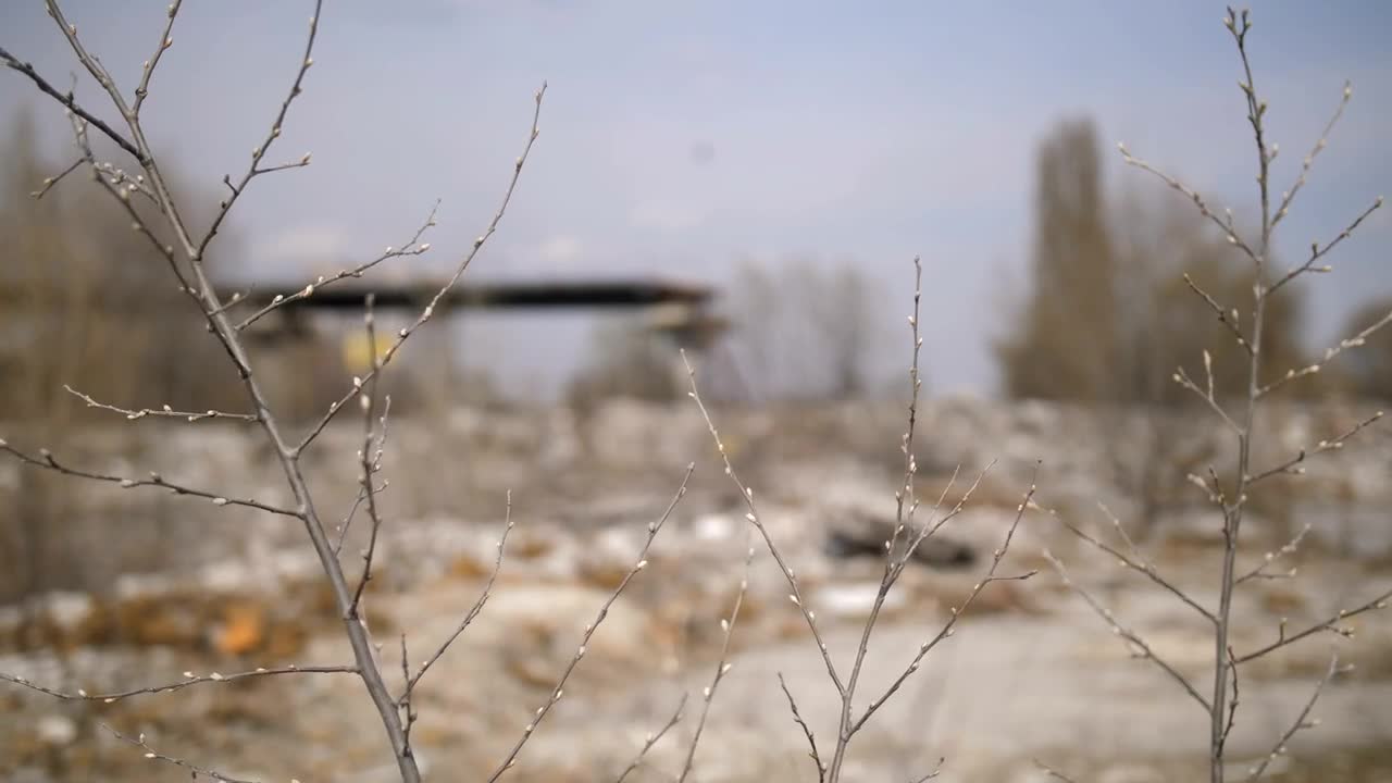 Stock Video Dead Plants At A Landfill Live Wallpaper For PC