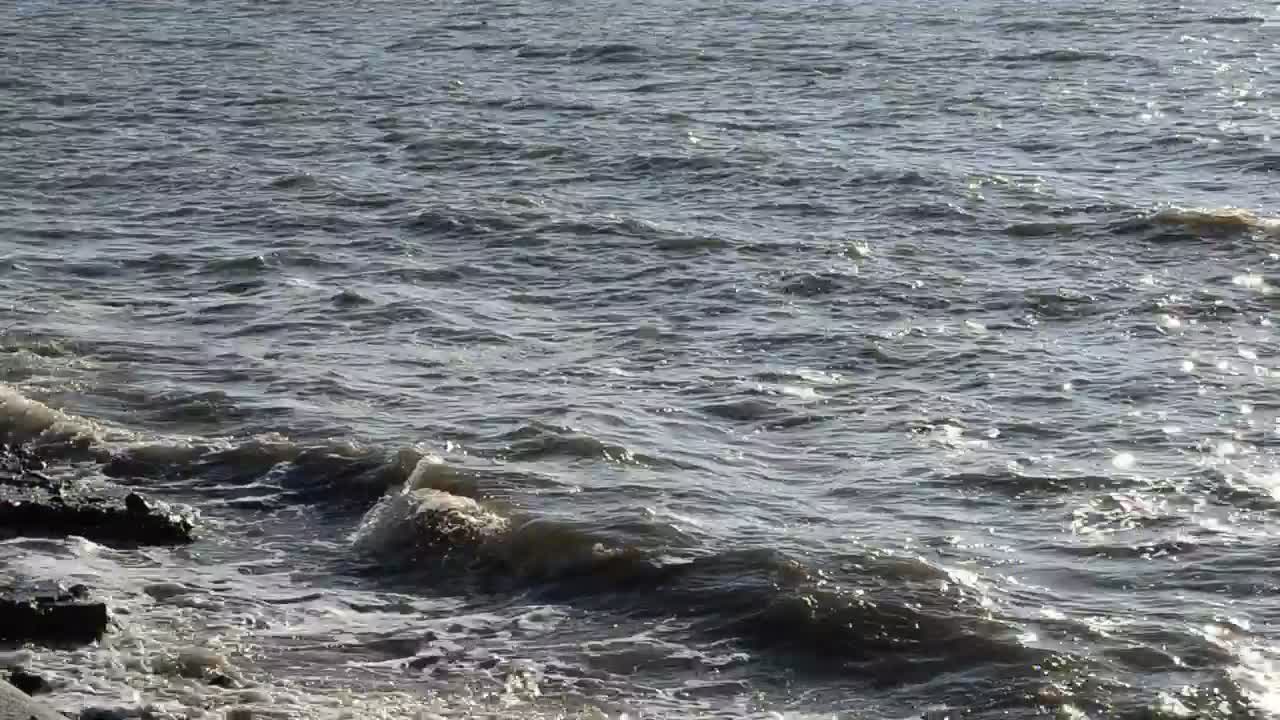Stock Video Dark Waters Along The Shore Live Wallpaper For PC
