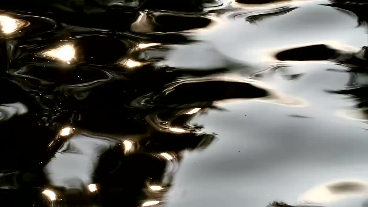 Stock Video Dark Surface Of A Lake Live Wallpaper For PC