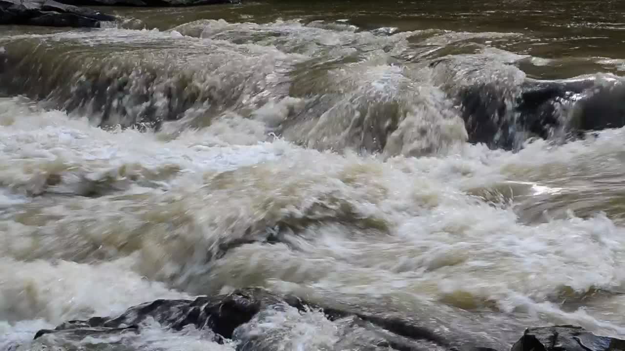 Stock Video Dangerous River Flowing Quickly Live Wallpaper For PC