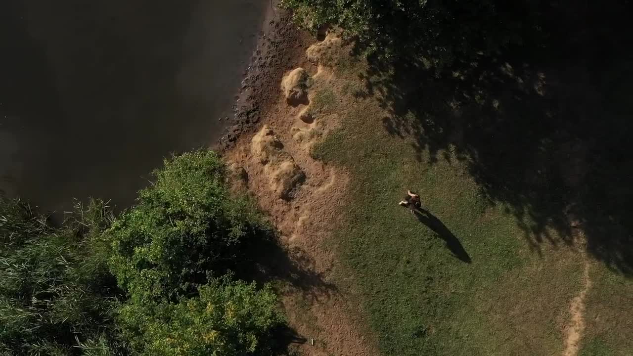 Stock Video Dancing By The River Live Wallpaper For PC