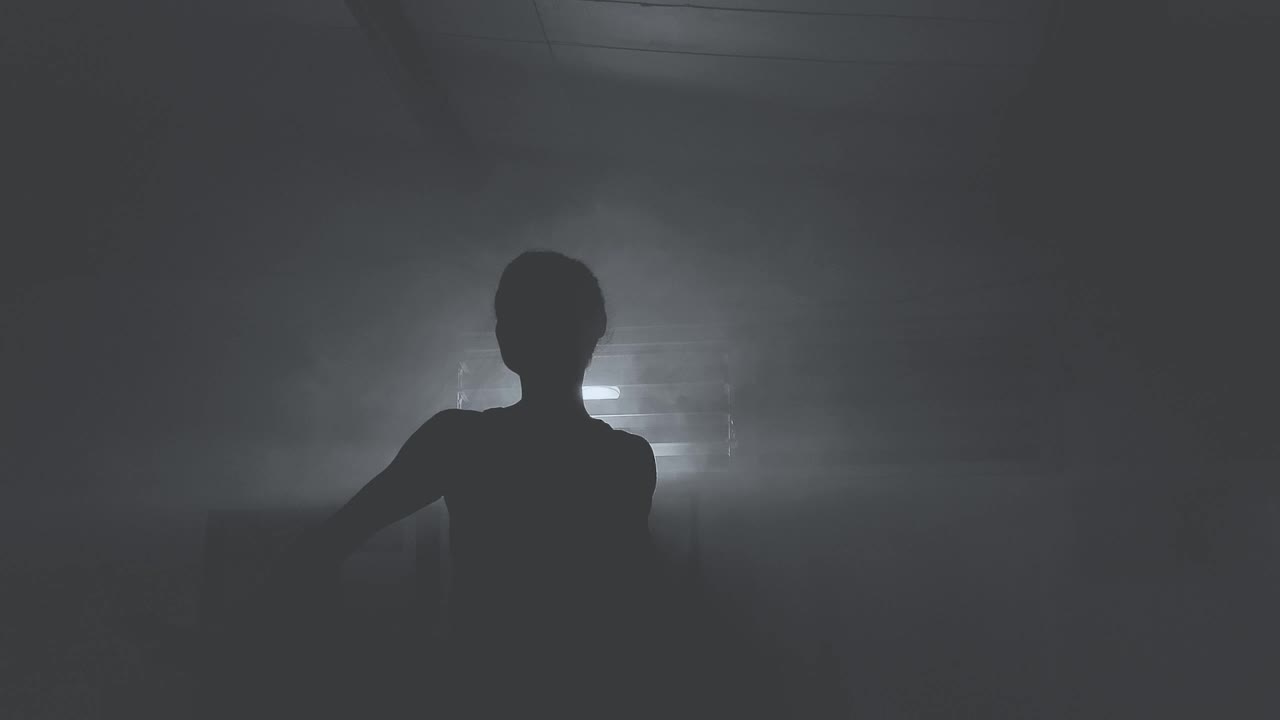 Stock Video Dancing Ballet In The Dark Live Wallpaper For PC