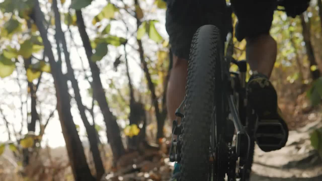 Stock Video Cyclist Traveling Through A Forest Seen From The Back Wheel Live Wallpaper For PC