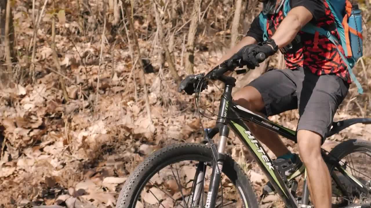 Stock Video Cyclist Crossing A Wooden Bridge In A Forest Live Wallpaper For PC