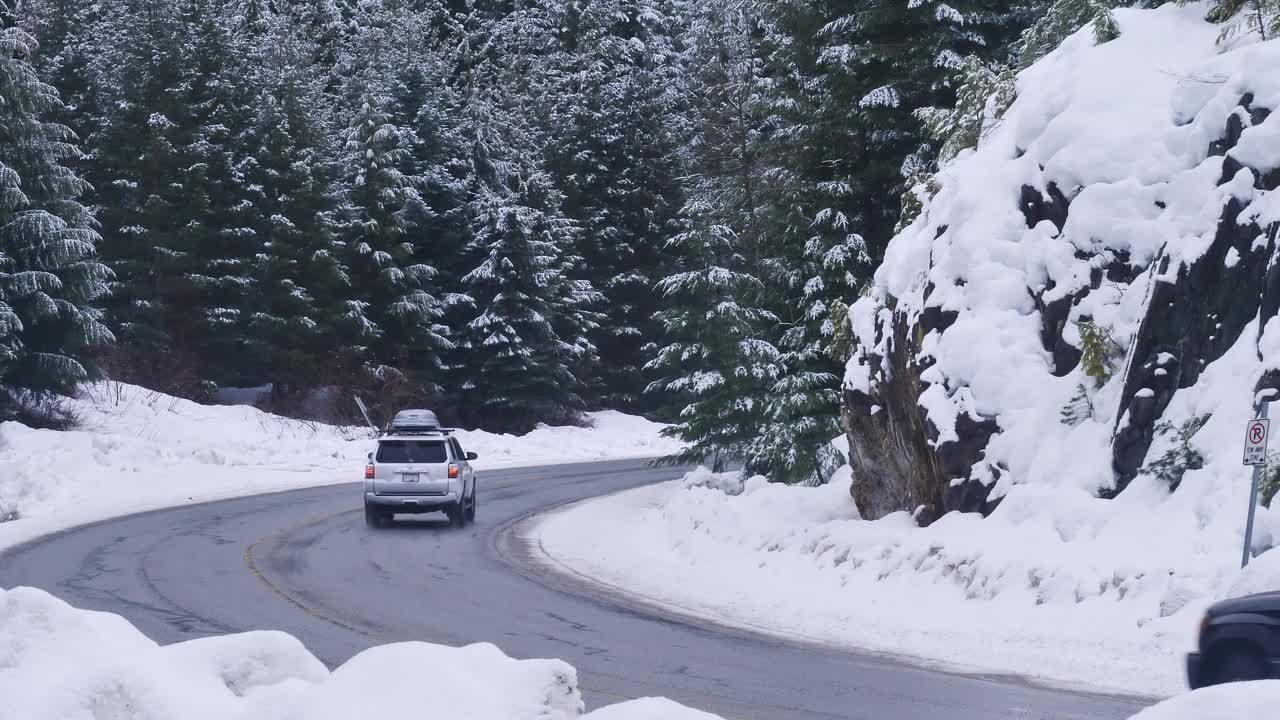 Stock Video Curve On A Snowy Forest Road Live Wallpaper For PC