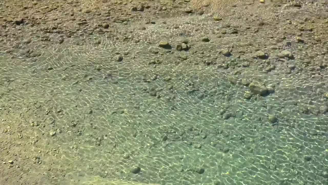 Stock Video Crystalline Water Reflections Live Wallpaper For PC