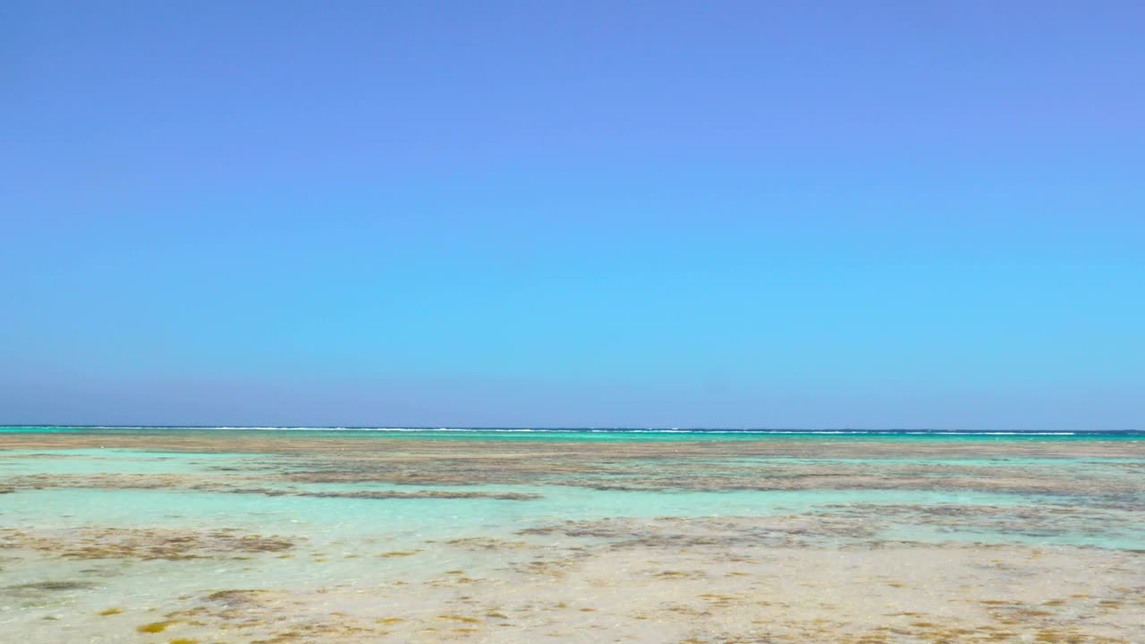 Stock Video Crystal Clear Waters Along The Beach Live Wallpaper For PC