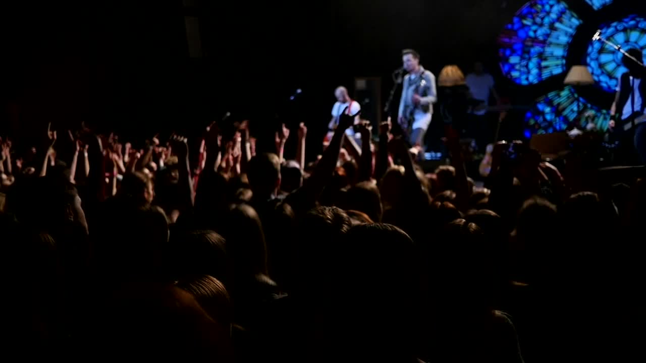 Stock Video Crowd Jumping At A Music Concert Live Wallpaper For PC