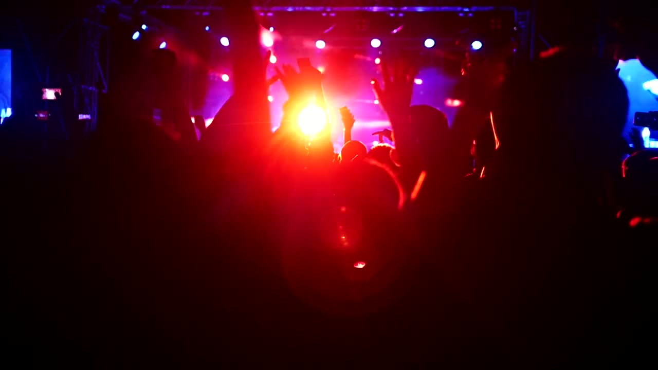 Stock Video Crowd Dancing In A Music Festival By Night Live Wallpaper For PC