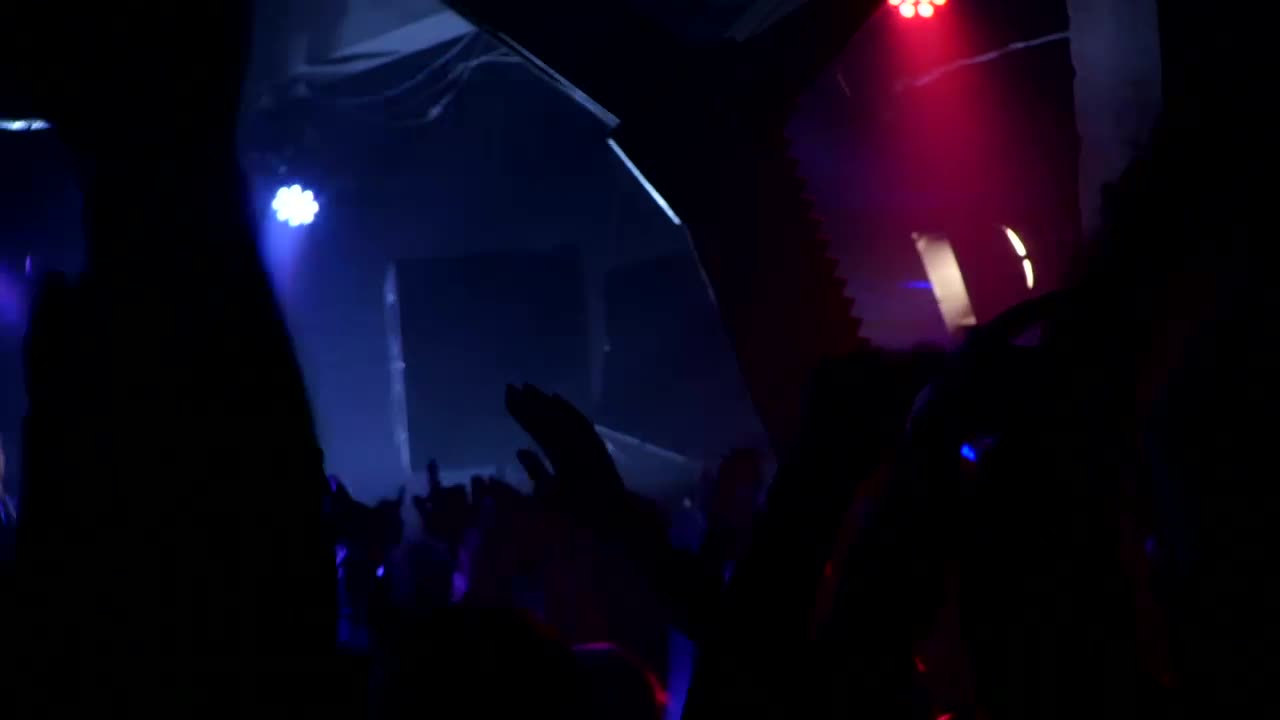 Stock Video Crowd Cheering At The Concert Live Wallpaper For PC