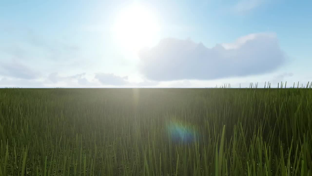Stock Video Crossing A Meadow In Spring Live Wallpaper For PC