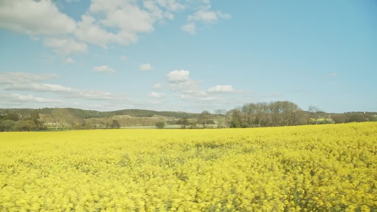 Stock Video Crops Below A Blue Sky Live Wallpaper For PC
